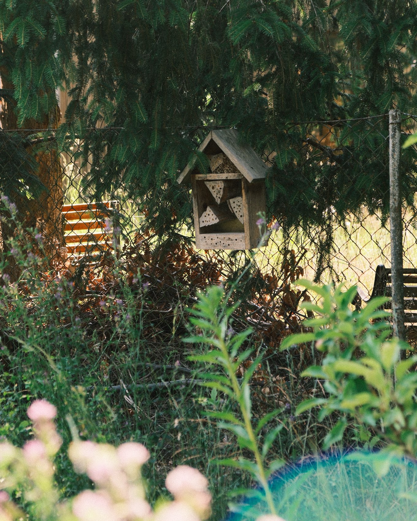 Cottage in Menz in Menz – Eindruck 84