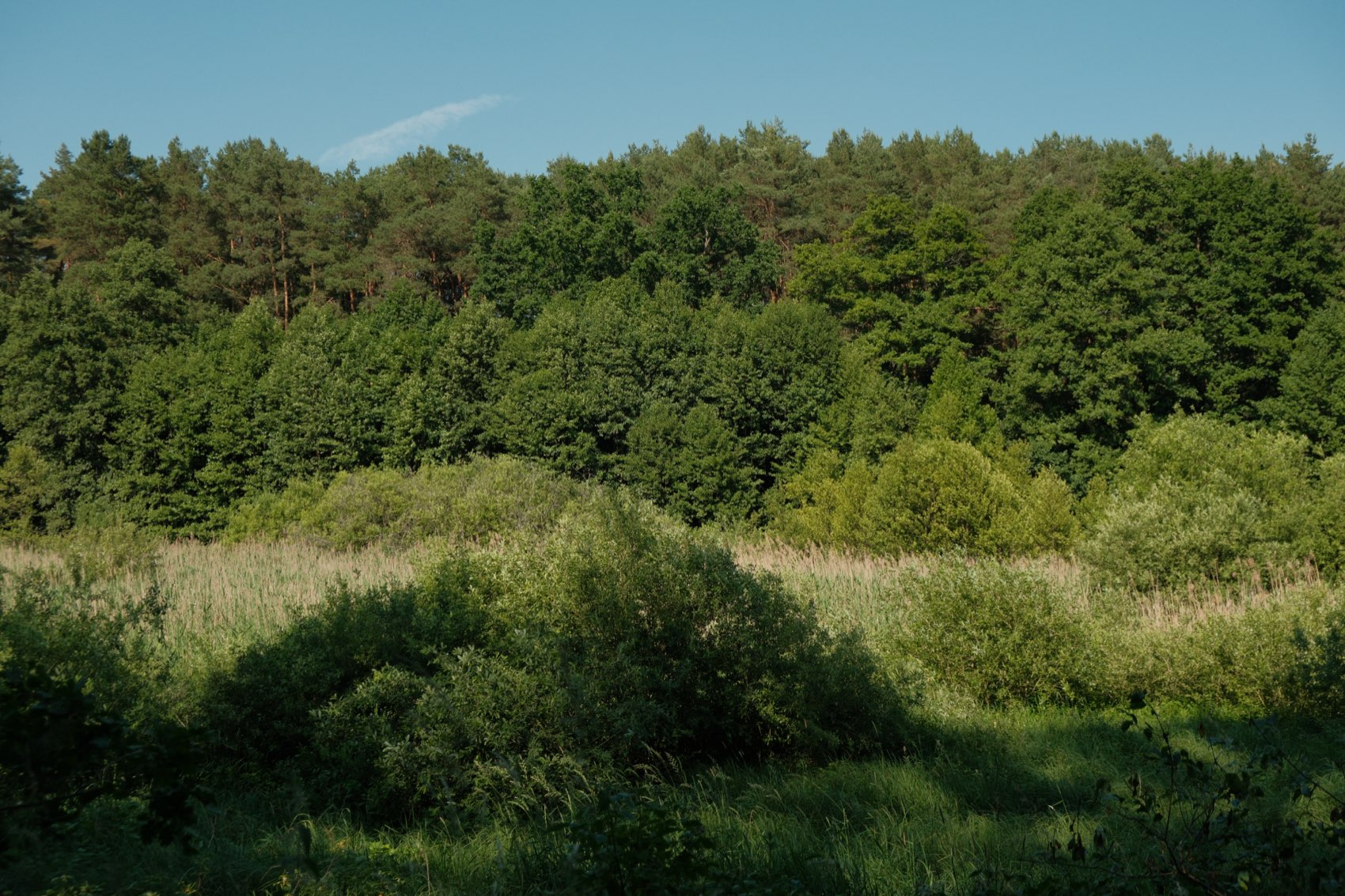 Cottage in Menz in Menz – Eindruck 92