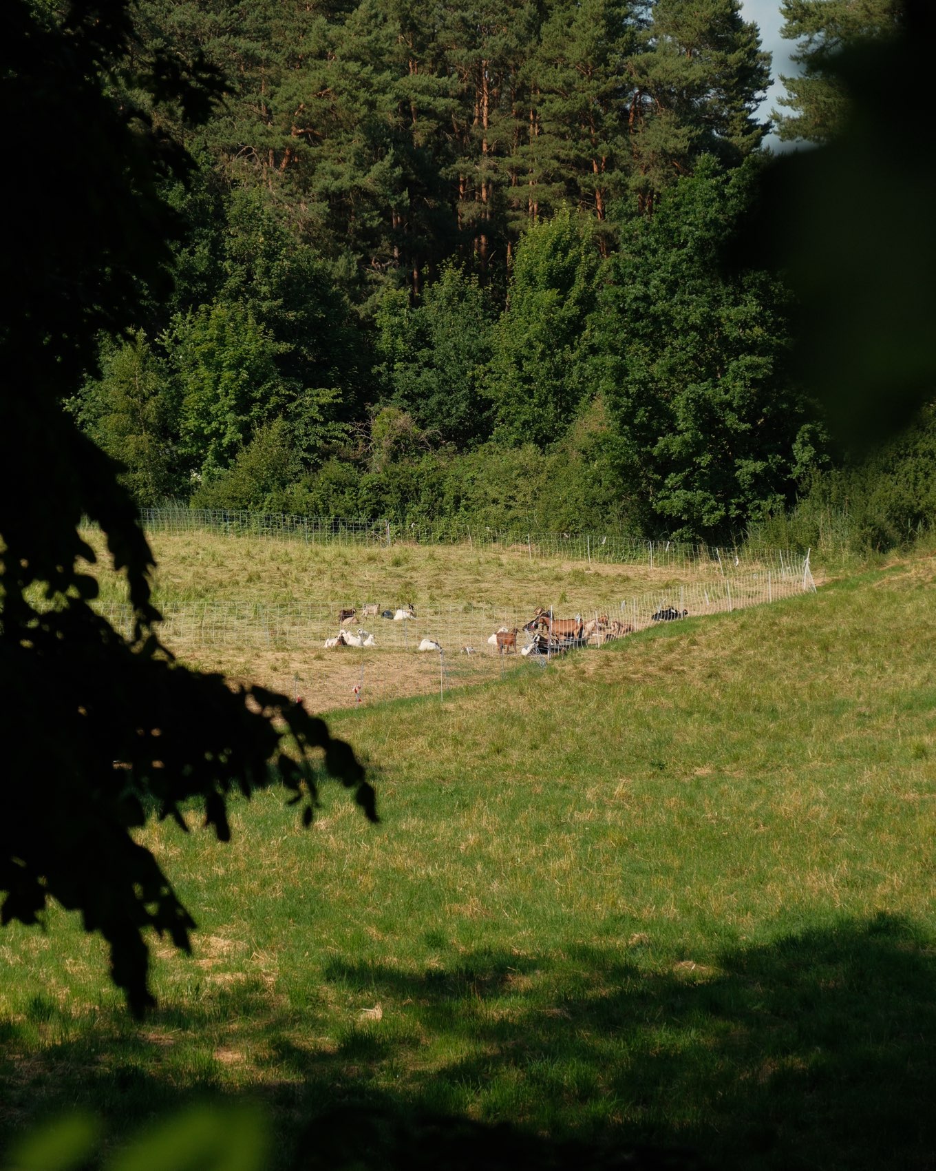 Cottage in Menz in Menz – Eindruck 93
