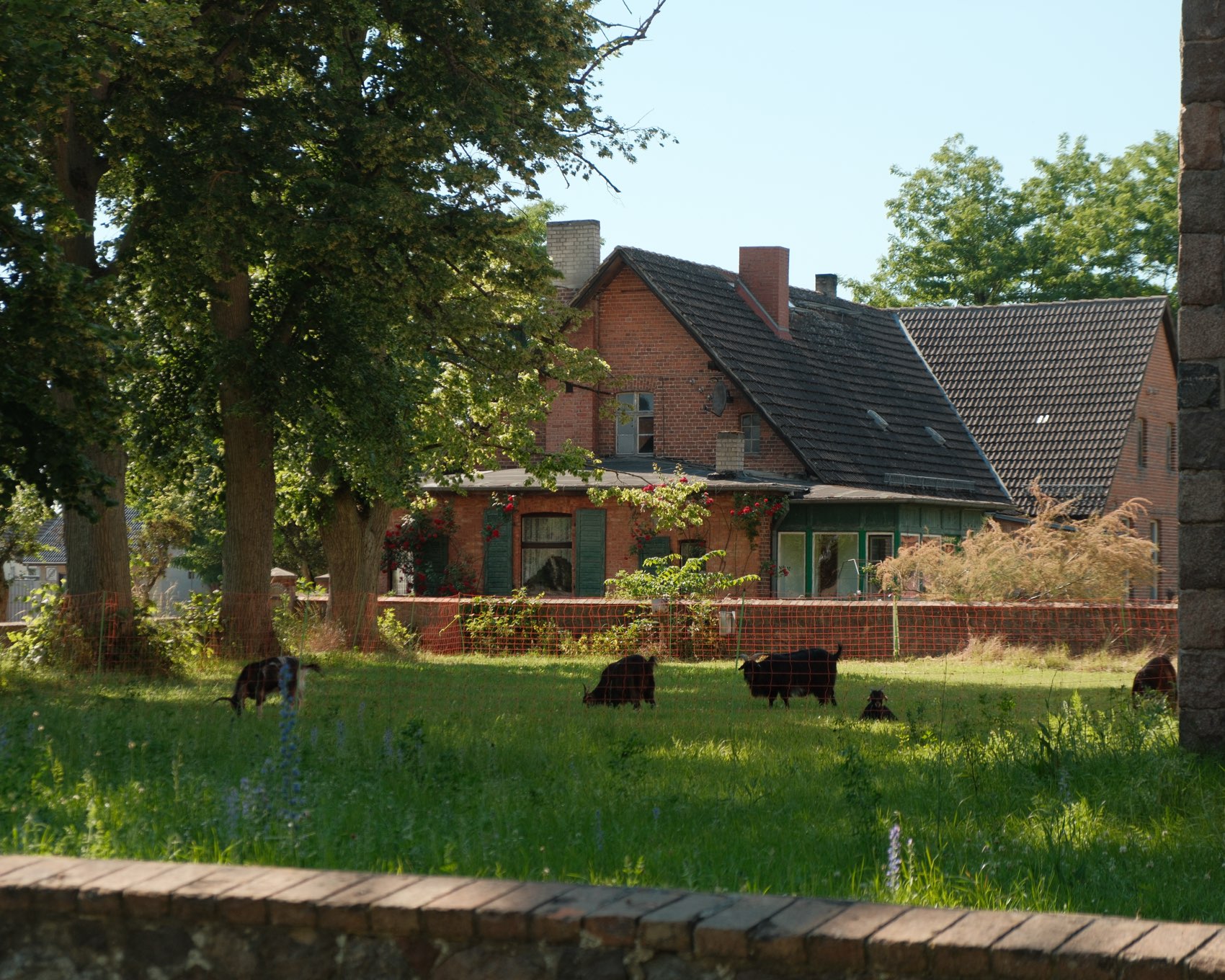 Cottage in Menz in Menz – Eindruck 99