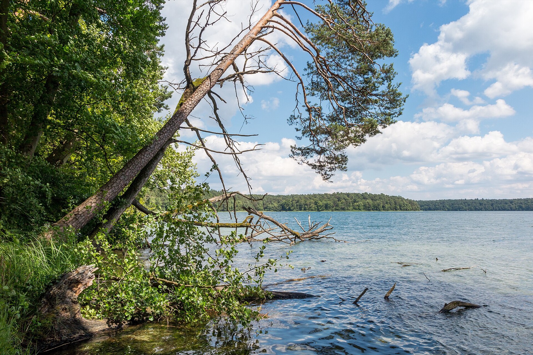Stechlinsee & Naturpark Stechlin